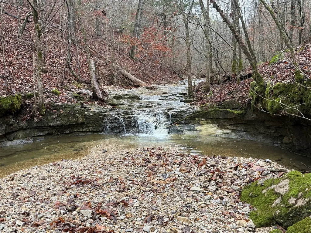 1327 County Road 323, Eureka Springs, AR 72632 - #1