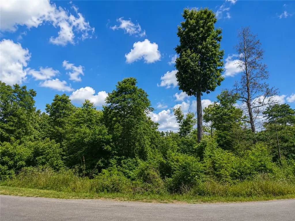 Copinsay Lane, Bella Vista, AR 72715 - #1