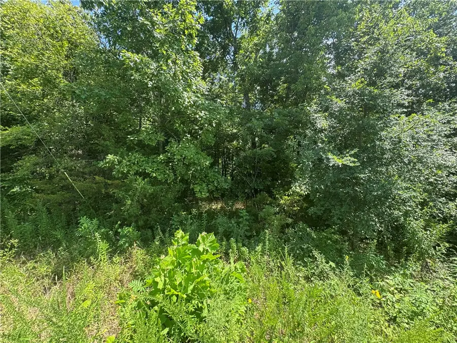Lot 59 Posy Mountain Drive, Garfield, AR 72732 - #3