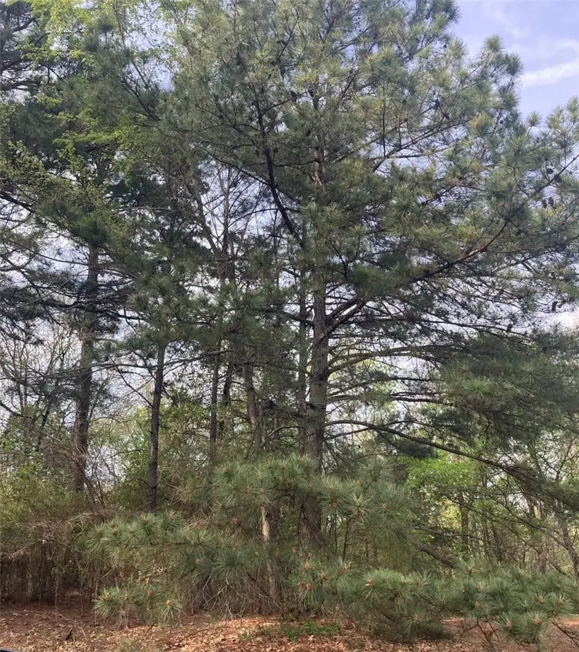 TBD Mcdonald Boulevard, London, AR 72847 - #1