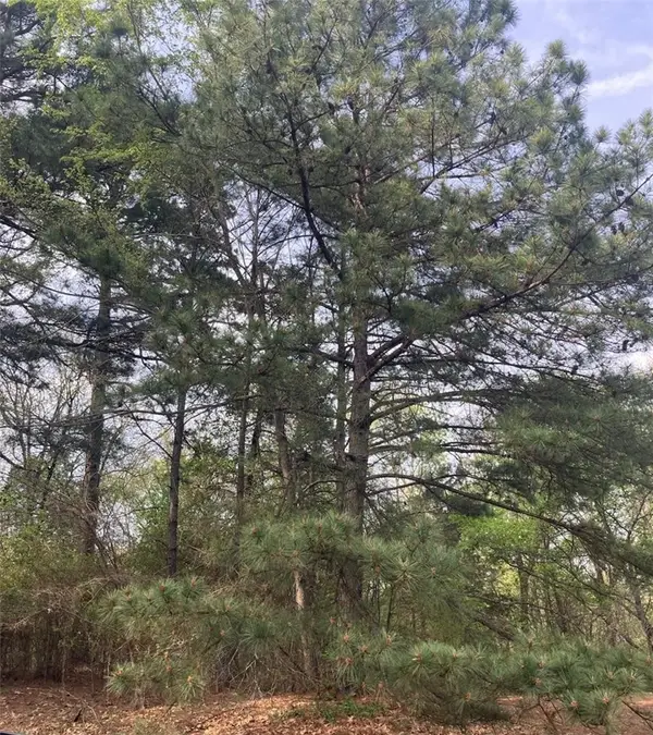 TBD Mcdonald Boulevard, London, AR 72847