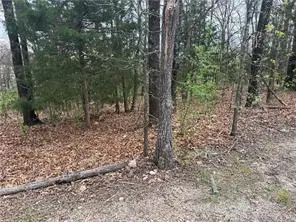 Lot 10 Entry Road, Ridgedale, MO 65739