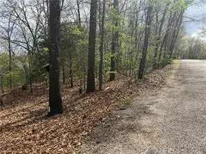 Lot 11 and 12 Entry Road, Ridgedale, MO 65739 - #2