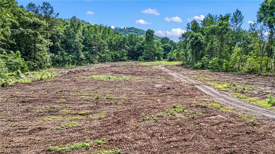 50.65+/- acres off Sr 164 W, Dover, AR 72837 - #3