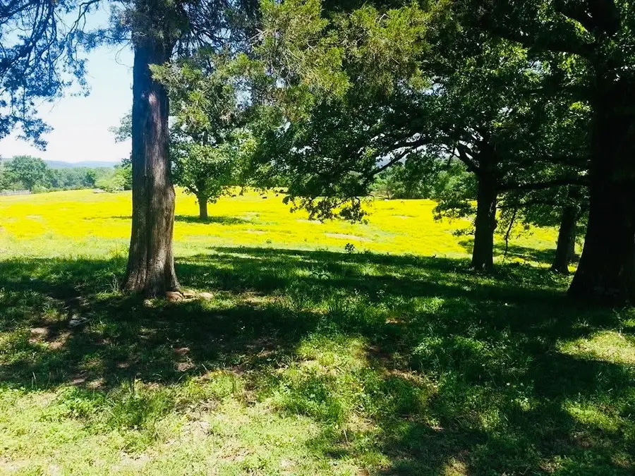 1412 County Road 2641, Lamar, AR 72846 - #2