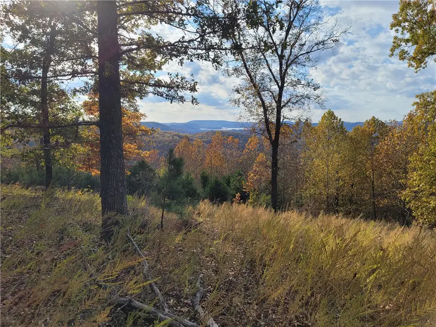 200 Blue Moon Road, Eureka Springs, AR 72632 - #2