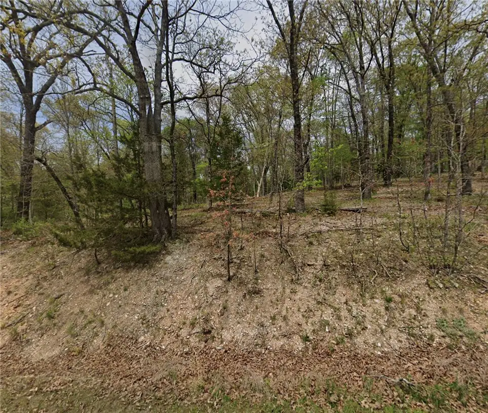 Amble Drive, Bella Vista, AR 72714 - #1