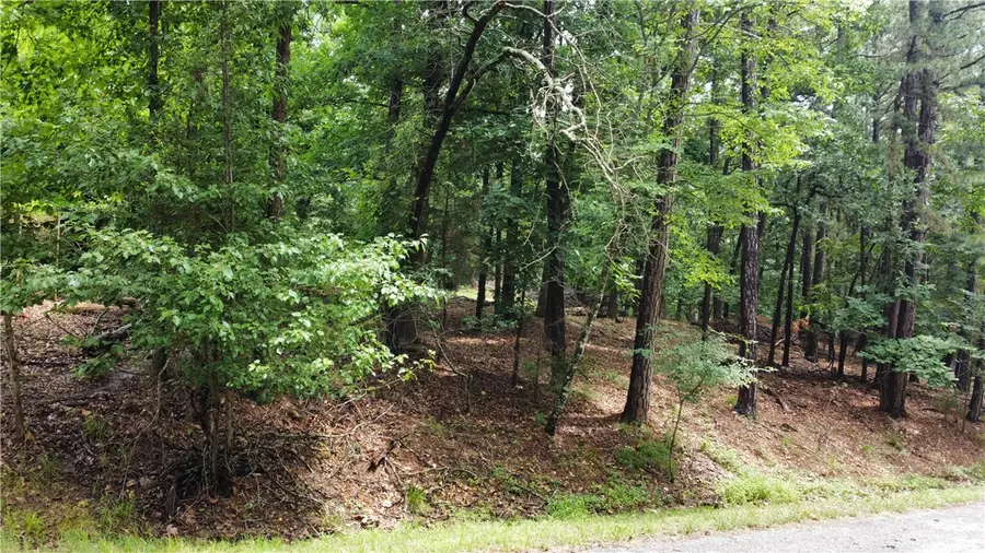 3 Stonehedge Lane, Bella Vista, AR 72714 - #3