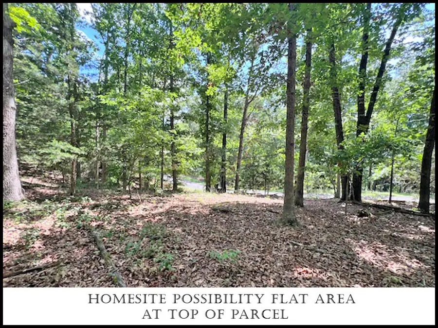 Brixton Lane, Bella Vista, AR 72714 - #2