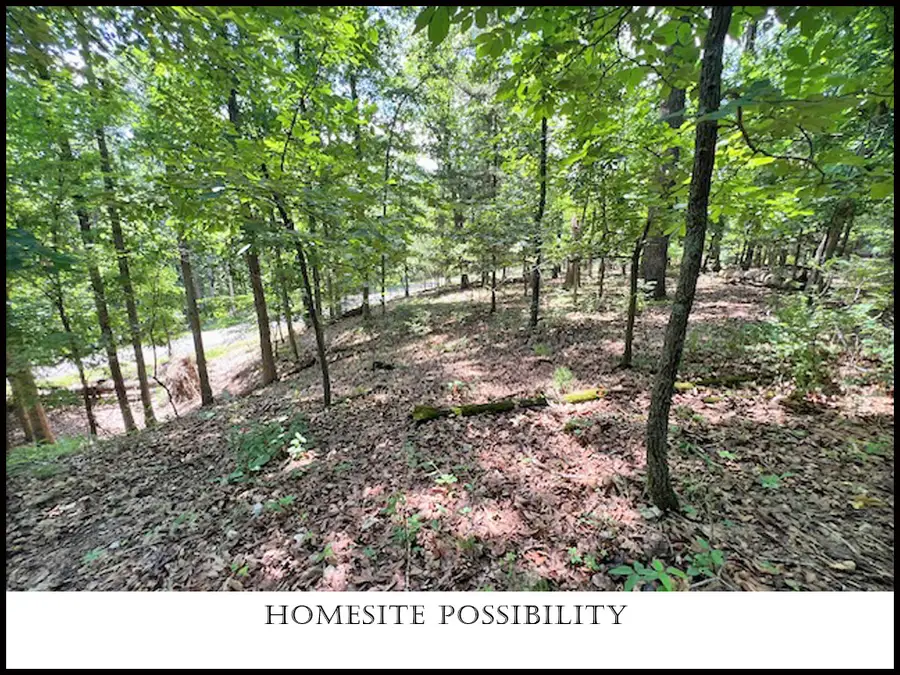Brixton Lane, Bella Vista, AR 72714 - #3