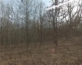 Lot 30 Montgomery Lane, Bella Vista, AR 72715 - #1
