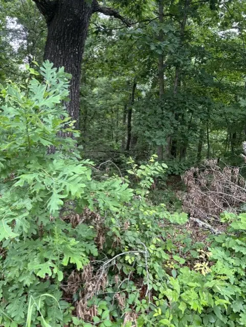 Lot 14 Epping Drive, Bella Vista, AR 72714