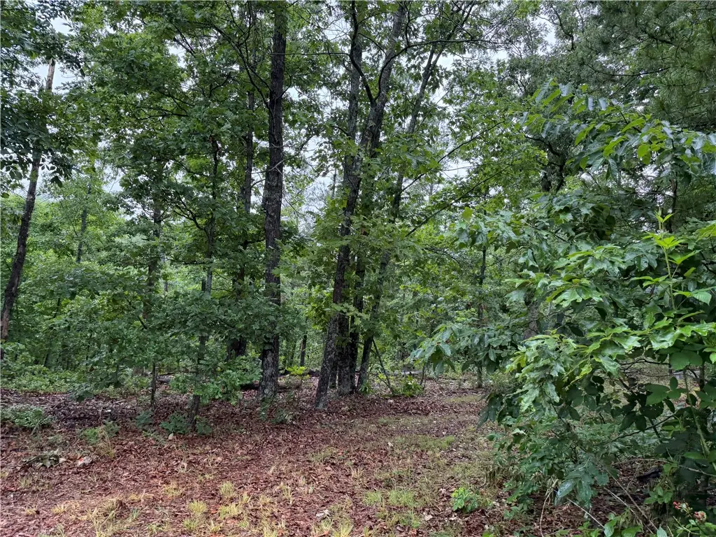 OFF OF Morgan Cave Road, Harrison, AR 72601 - #1