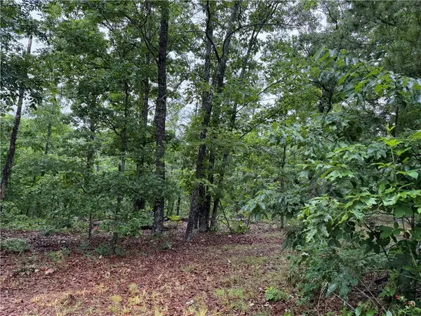 OFF OF Morgan Cave Road, Harrison, AR 72601