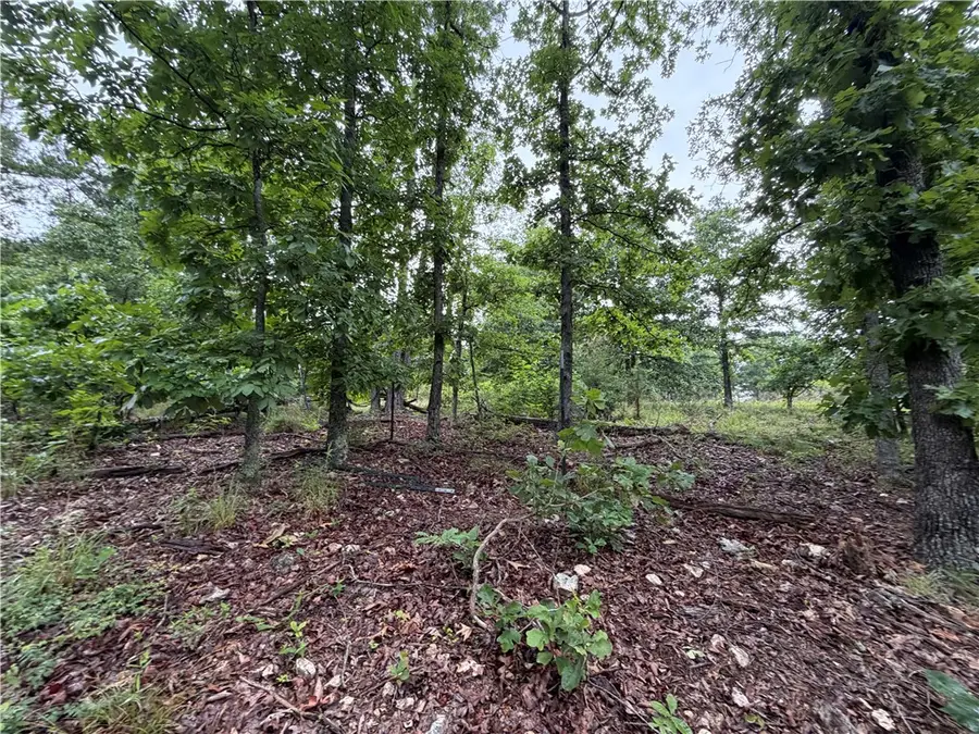 OFF OF Morgan Cave Road, Harrison, AR 72601 - #2