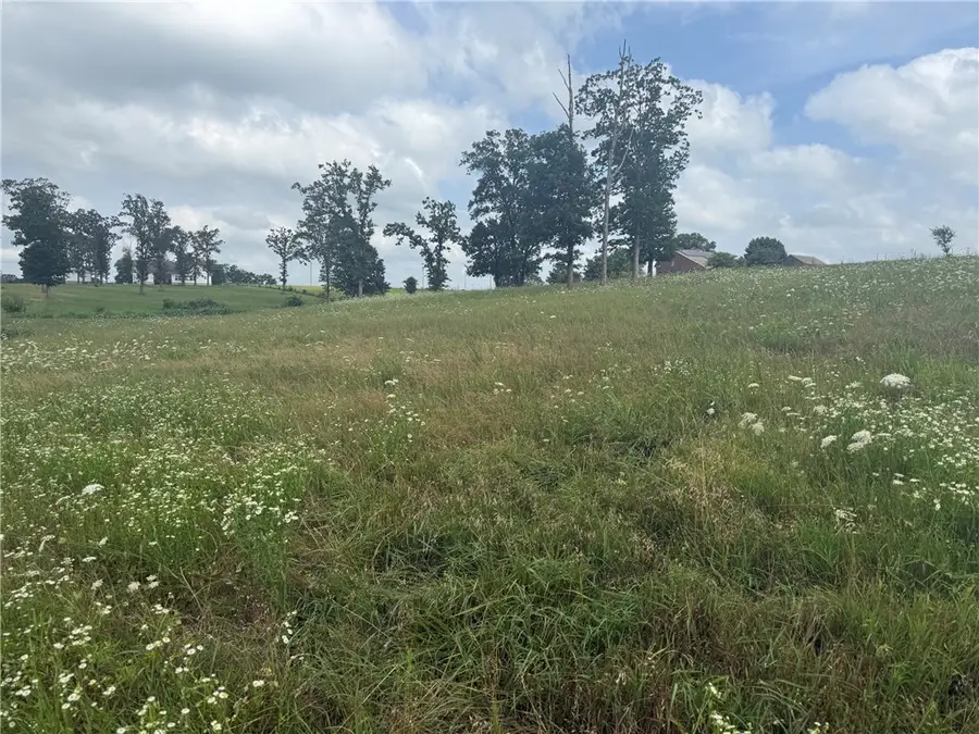 TBD Tract 2 Peterson Road, Gentry, AR 72734 - #2