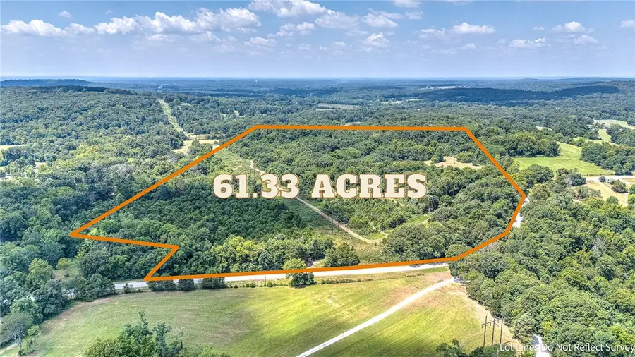 19807 Highway 127, Garfield, AR 72732 - #2