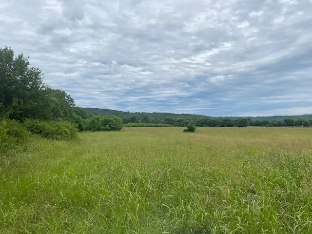 HWY 16 Ar-16, Elkins, AR 72727 - #1