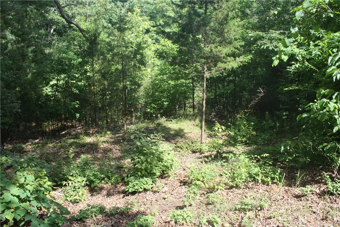 5, 6 & 7 Westmoreland Drive, Bull Shoals, AR 72619 - #1