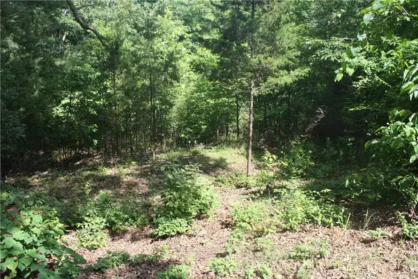 5, 6 & 7 Westmoreland Drive, Bull Shoals, AR 72619