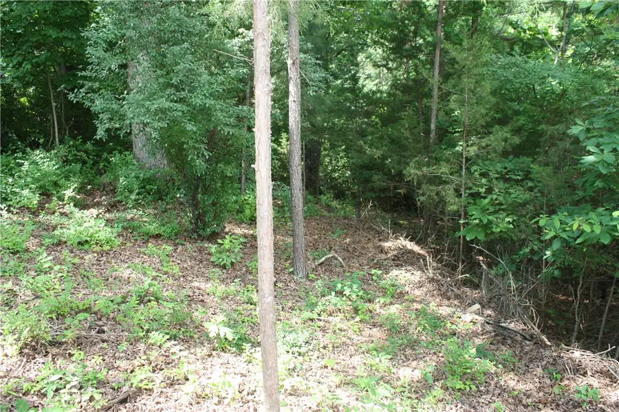 5, 6 & 7 Westmoreland Drive, Bull Shoals, AR 72619 - #3