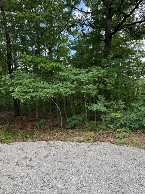 TBD Colne Lane, Bella Vista, AR 72714 - #3