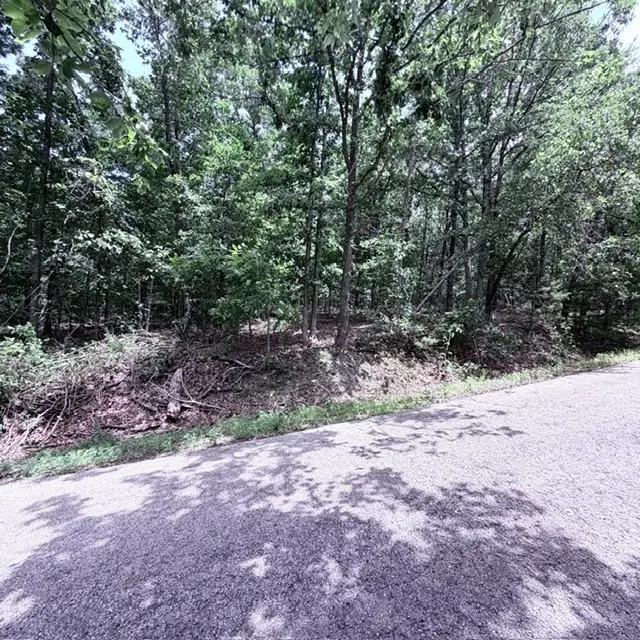 lot 2 Lothian Drive, Bella Vista, AR 72715 - #2