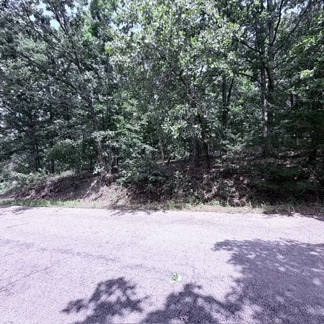 lot 2 Lothian Drive, Bella Vista, AR 72715 - #3