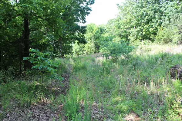 Blue Mountain Rd, Prairie Grove, AR 72753