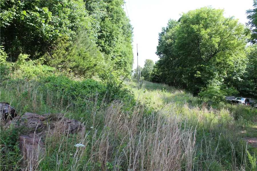 Blue Mountain Rd, Prairie Grove, AR 72753 - #2