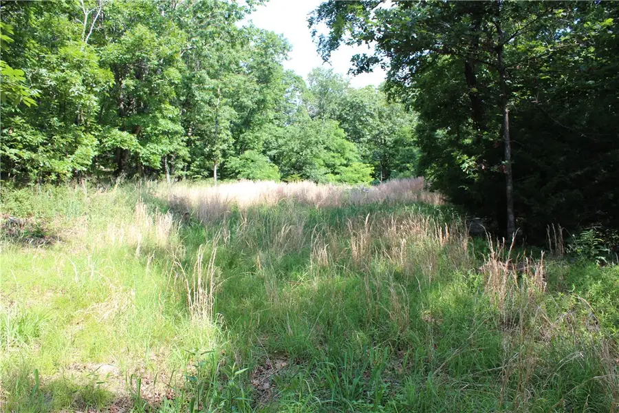 Blue Mountain Rd, Prairie Grove, AR 72753 - #3