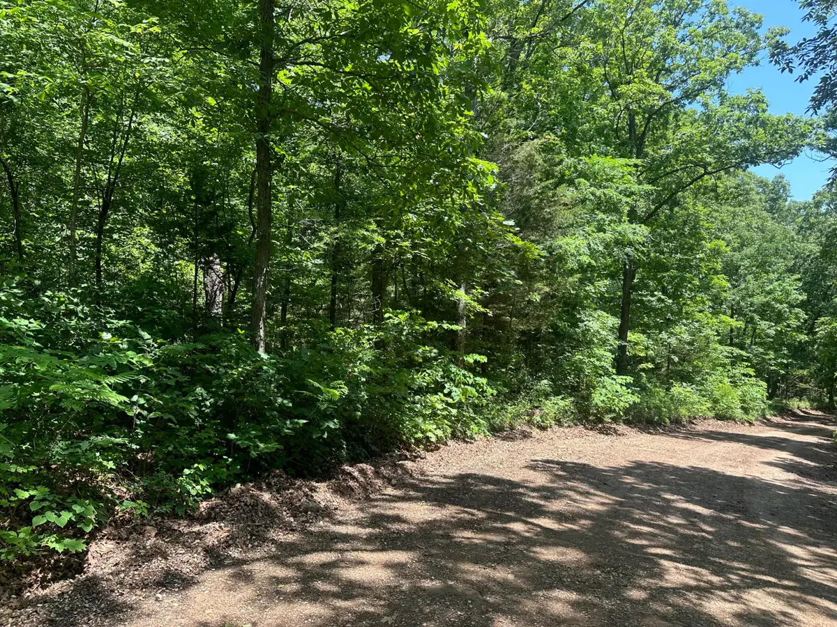 Hwy 74 West, Jasper, AR 72641 - #1