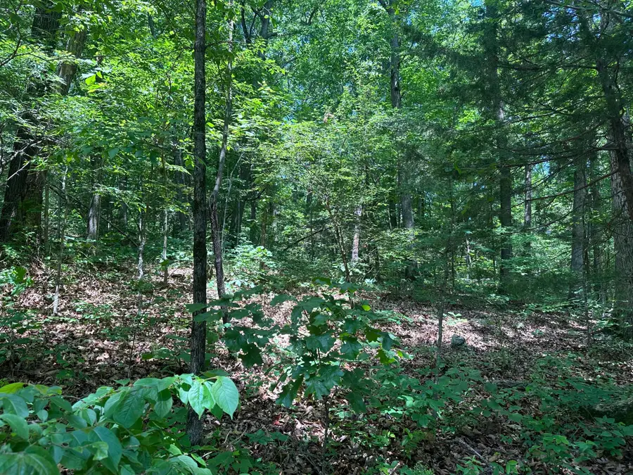 Hwy 74 West, Jasper, AR 72641 - #2