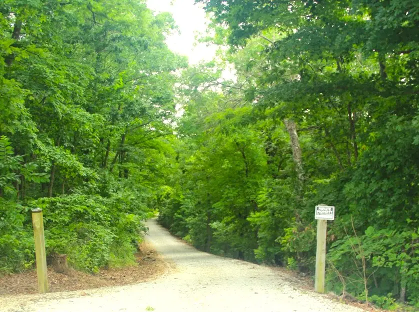21752 W Highway 62, Eureka Springs, AR 72631 - #3