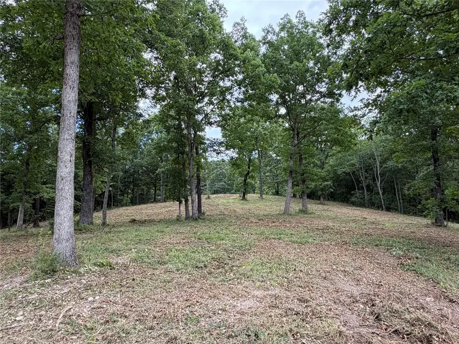 146 Nc 3920, Marble Falls, AR 72648 - #3