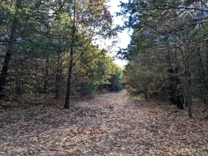 Pine Tree, Prairie Grove Township, AR 72758 - #1