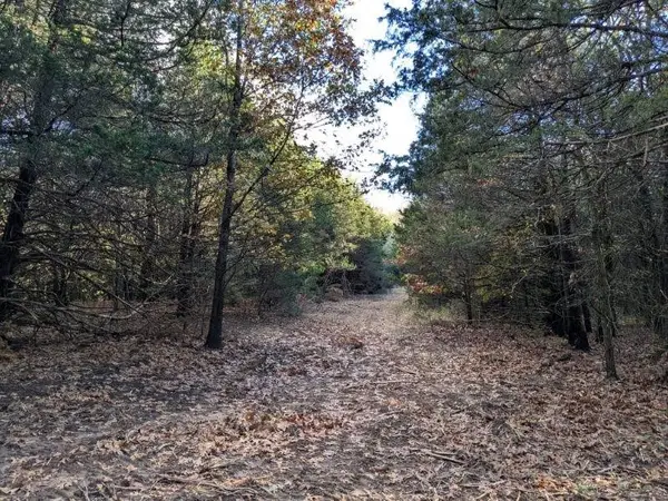 Pine Tree, Prairie Grove, AR 72758