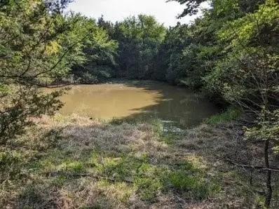 Pine Tree, Prairie Grove Township, AR 72758 - #2