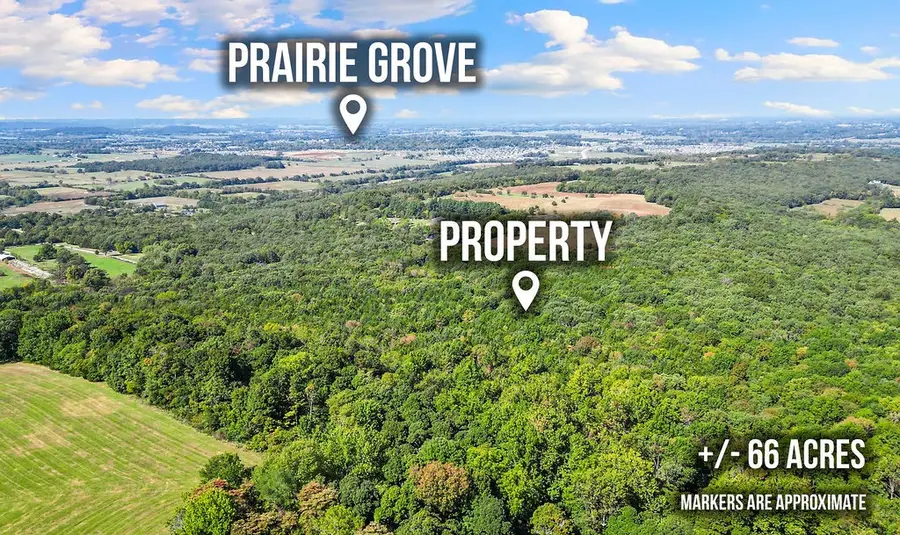 Pine Tree, Prairie Grove Township, AR 72758 - #2