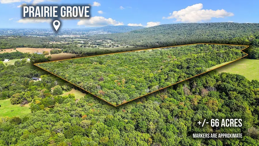 Pine Tree, Prairie Grove Township, AR 72758 - #2