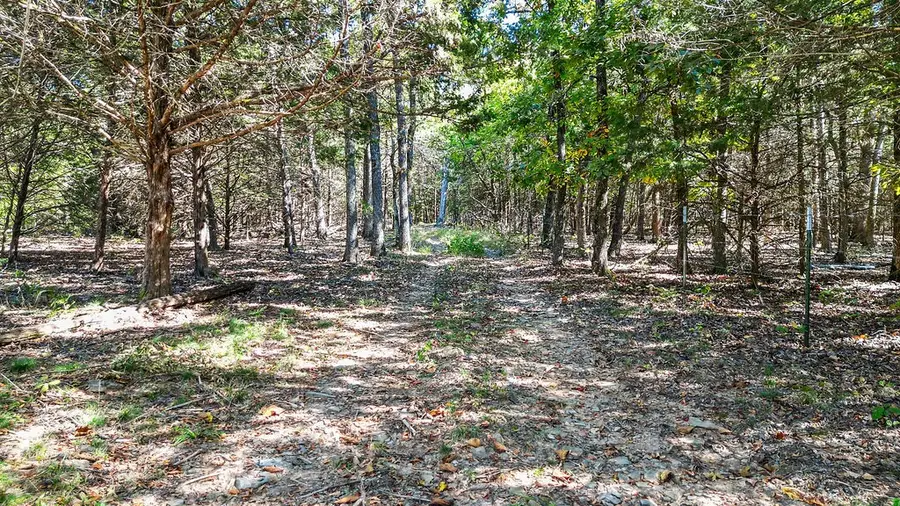 Pine Tree, Prairie Grove Township, AR 72758 - #3