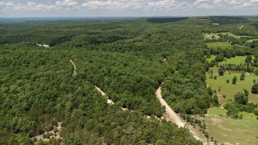 001-03017-000 Cr 143, Oakland, AR 72661 - #2