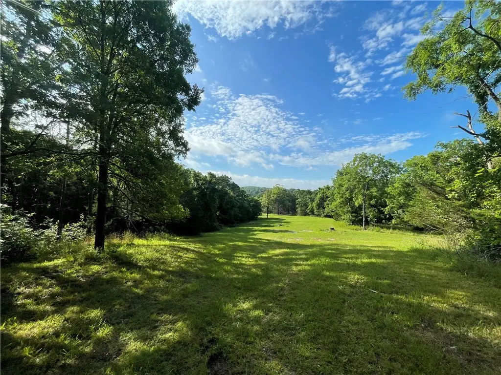 TBD County Road 155, Eureka Springs, AR 72632 - #1