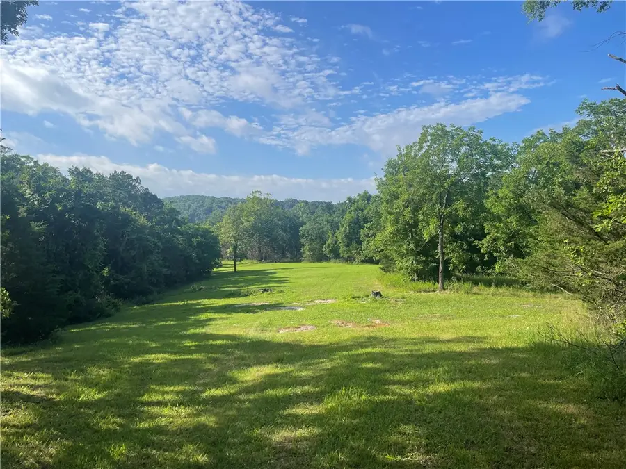 TBD County Road 155, Eureka Springs, AR 72632 - #3