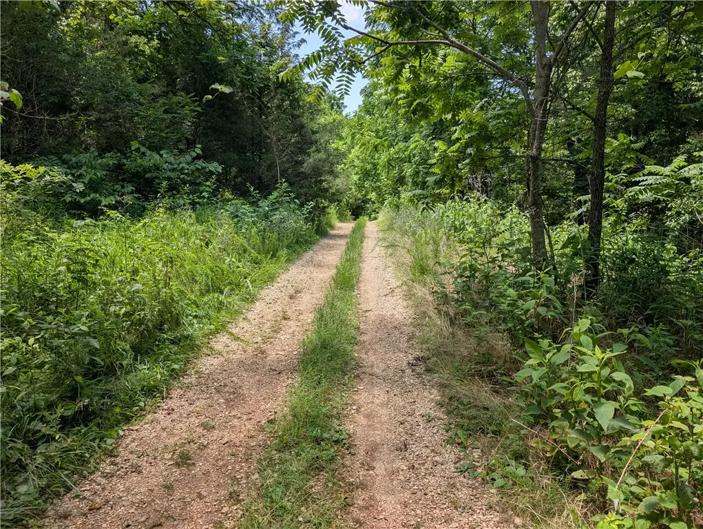 Wey Lane, Bella Vista, AR 72714 - #1