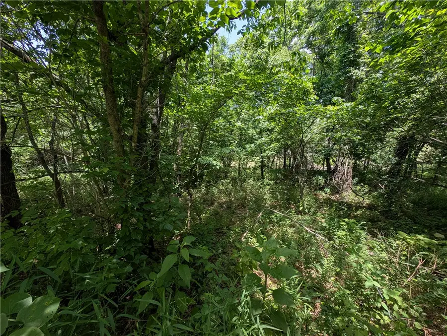 Wey Lane, Bella Vista, AR 72714 - #2