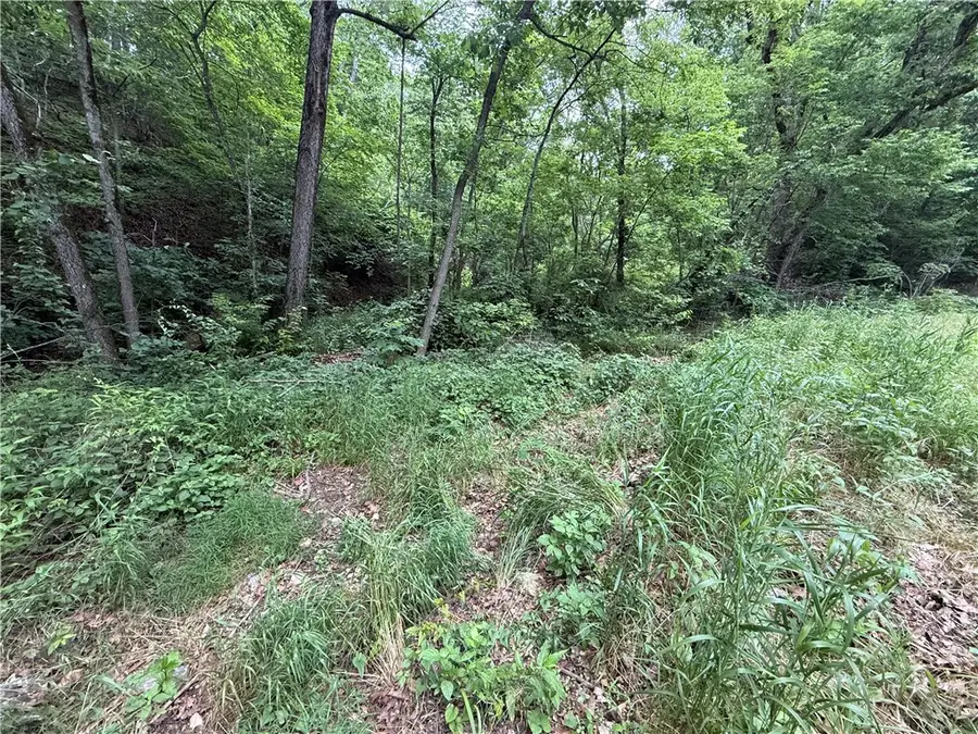 TBD Highway Dd, Seligman, MO 65745 - #2