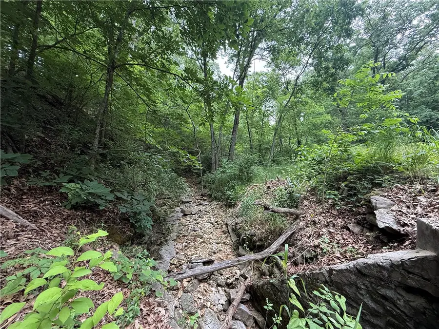 TBD Highway Dd, Seligman, MO 65745 - #3