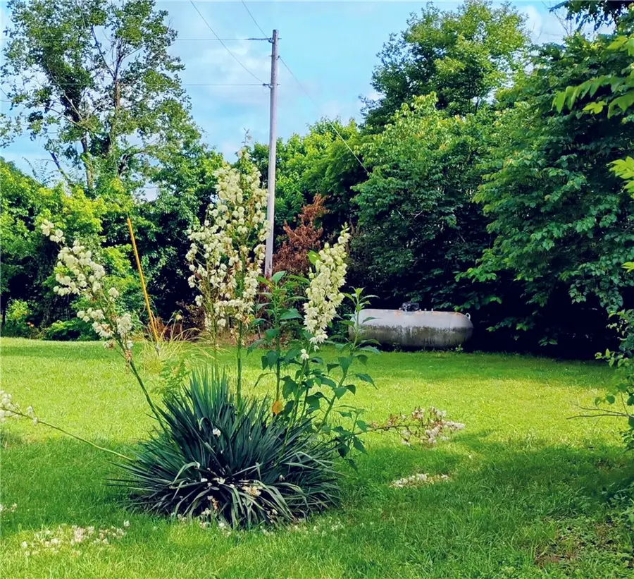 281 County Road 9953, Green Forest, AR 72638 - #2