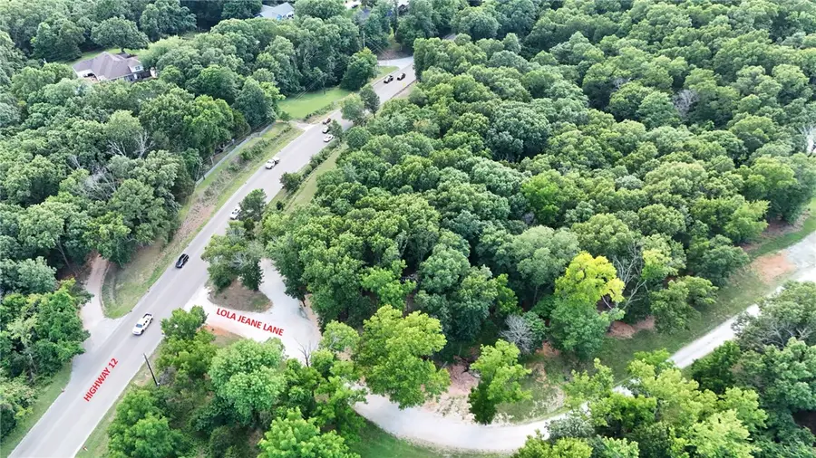 TBD Hwy 12 & Lola Jeane Lane, Rogers, AR 72756 - #2